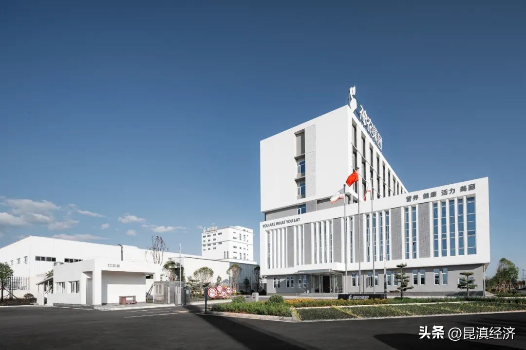 云南红塔集团市值,云南建投集团市值