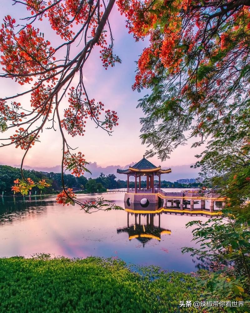 惠州市海岸线,惠州的海岸线