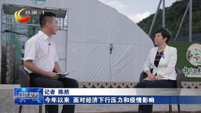 「稳经济促发展·县市区长访谈」中阳：下好政策“先手棋”激发经济新动能