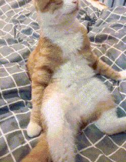 女主管换了新电脑，她把旧的送给了我，我抬回家打开影库