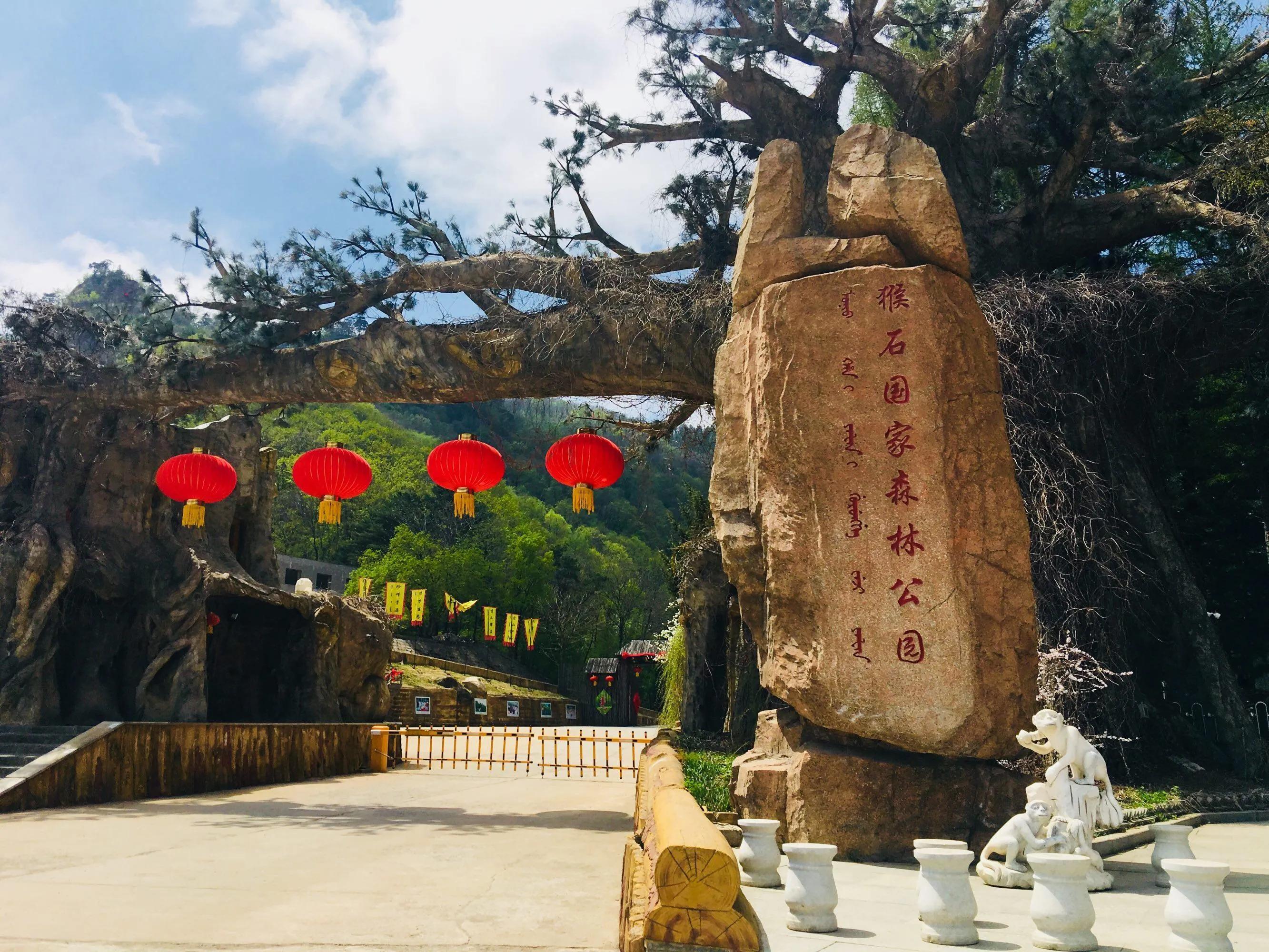 抚顺猴石国家森林公园,抚顺猴石森林公园视频