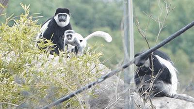 预订景区门票优惠活动,限时福利门票加一元畅游一整年