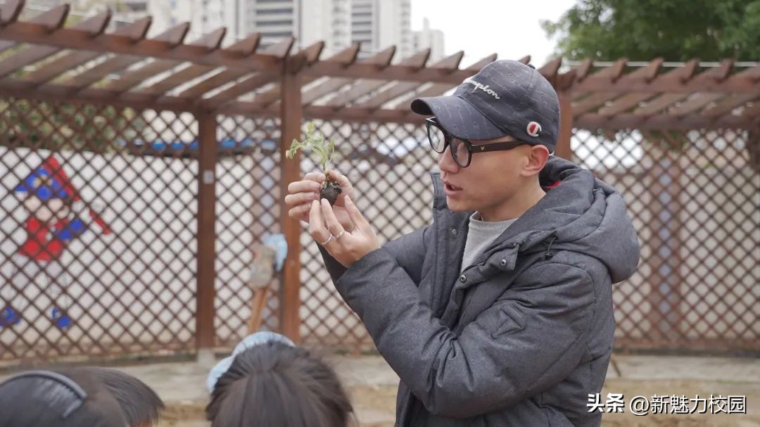 劳动创造幸福创意活动小学,劳动创造美好生活小学活动