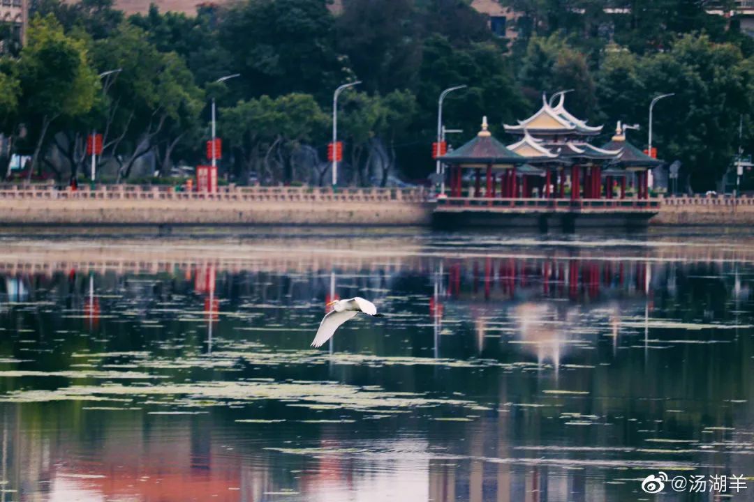 【闽山闽水物华新】又挖到宝藏旅游线路了！这份厦门两天一夜游玩攻略你一定要收藏！