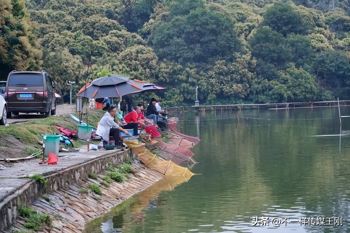在东莞享顺德美食，记顺德坚野山庄第二分店正式开业