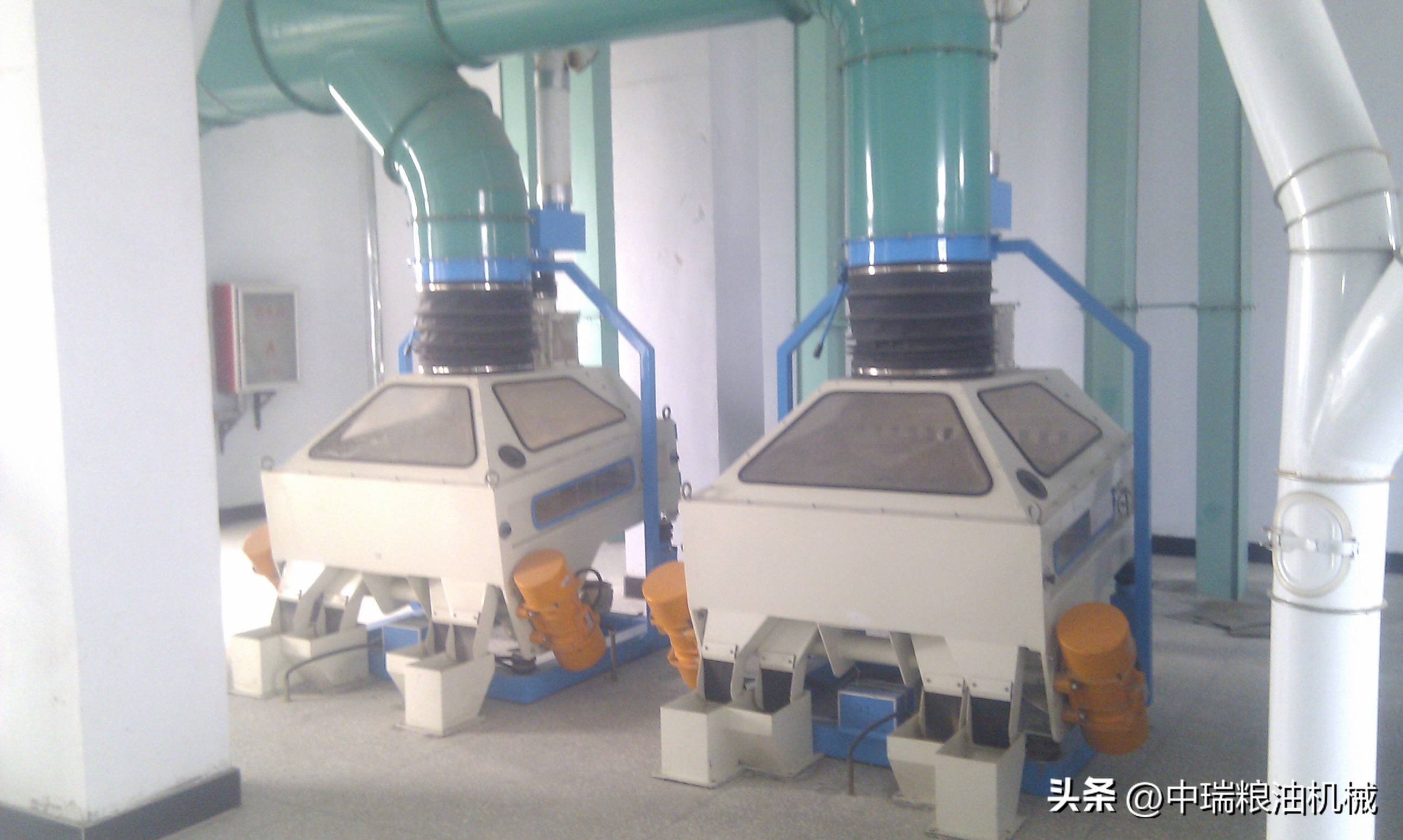 面粉加工厂怎么加盟,大型面粉厂投资及利润