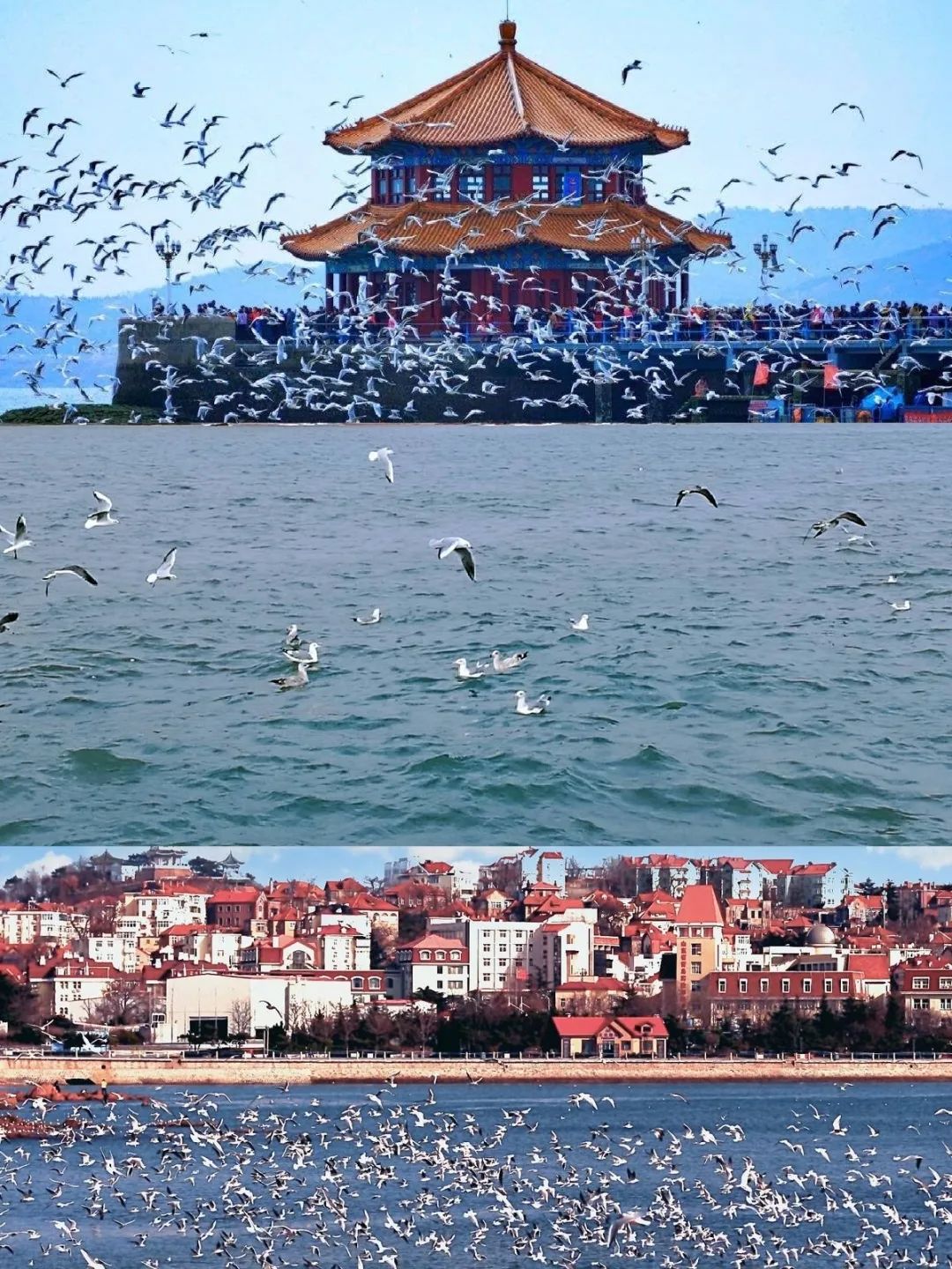 青岛旅游攻略夕阳,青岛旅游中庸之道十大必去景点