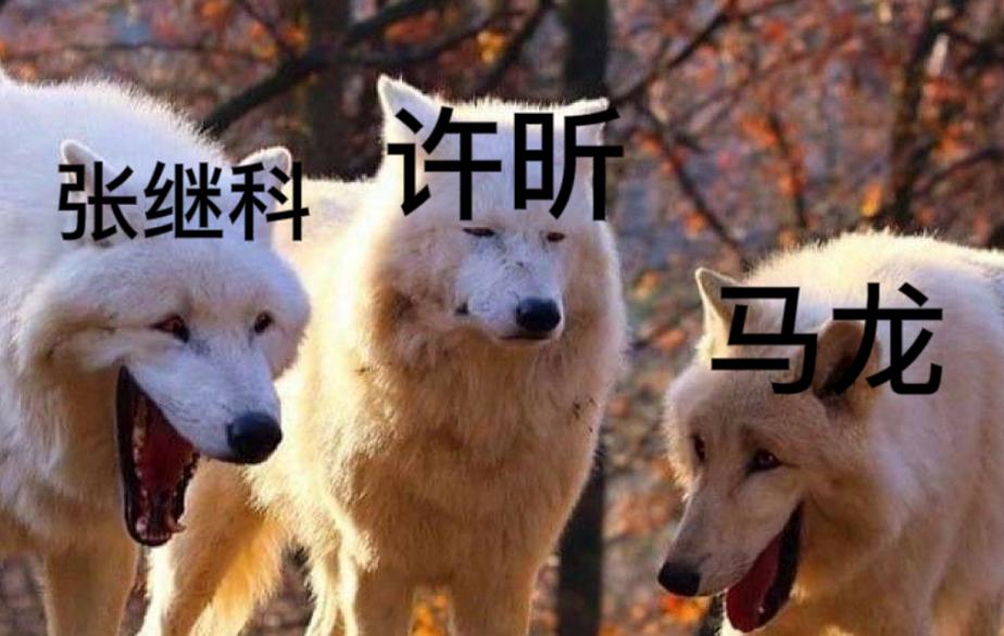 海量趣图记录国乒搞笑往事,九张图回忆国乒