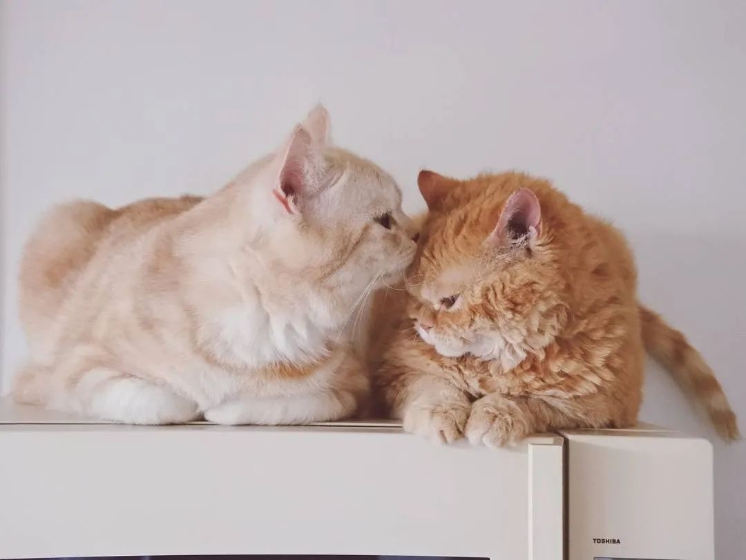 人成熟到一定程度,人怎么才能成熟