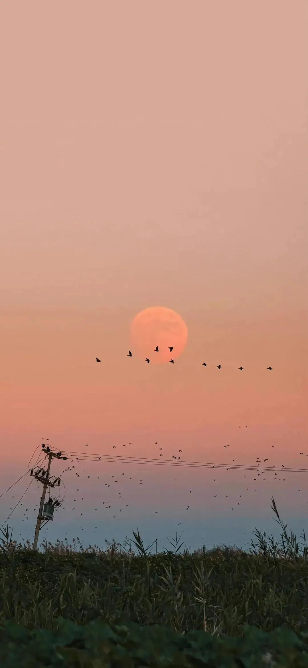 刘同孤独虽败犹荣,刘同经典语录你的孤独虽败犹荣