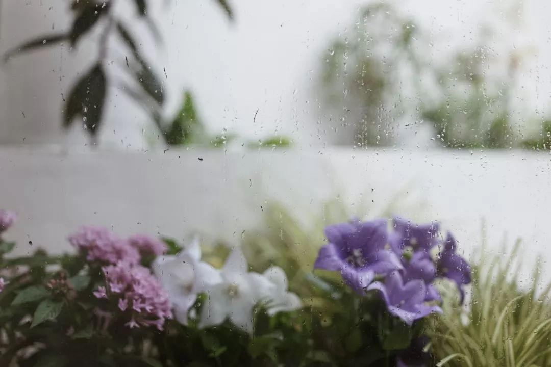 她买下32㎡老旧学区房，为女儿打造小桃园，还有20㎡超舒适大庭院