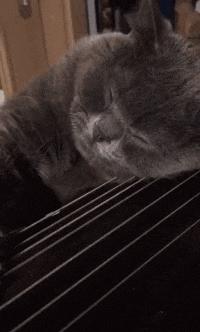 女代驾花了1800多,叫了个女代驾花了1800元