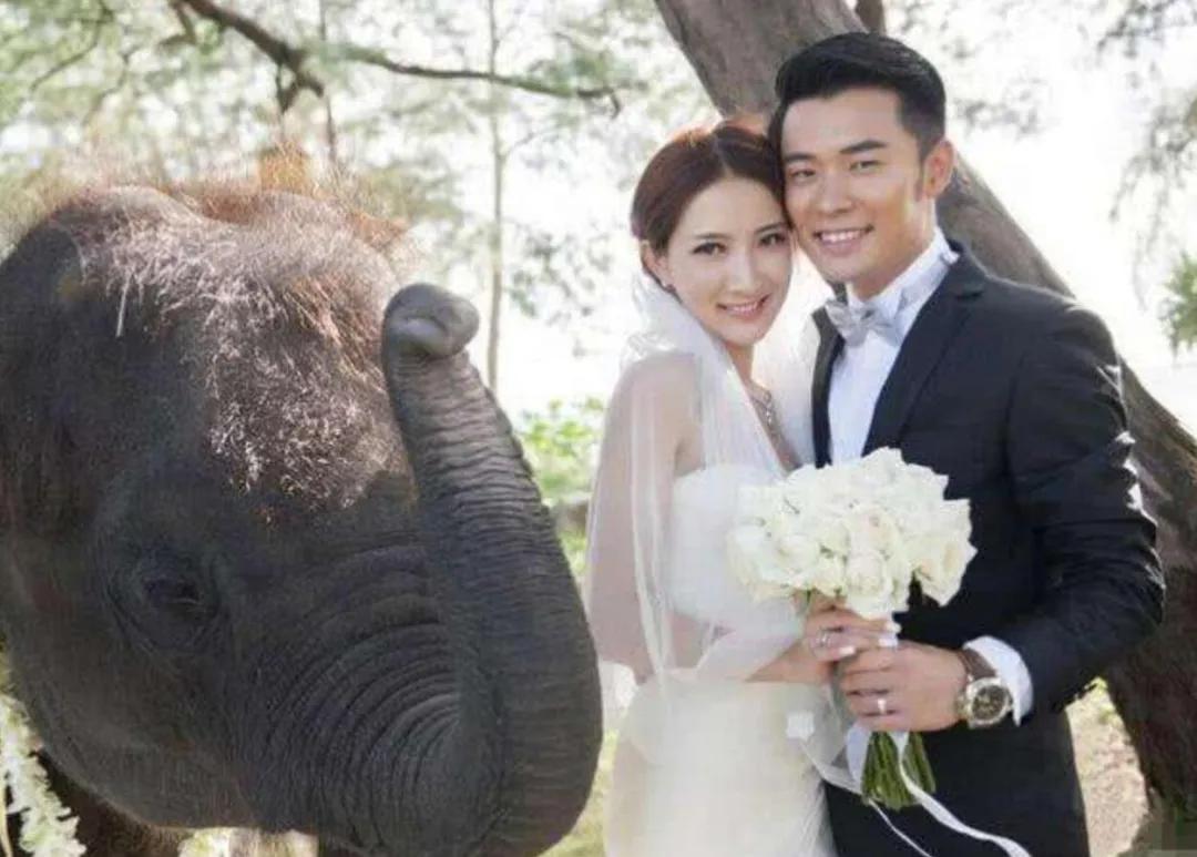 陈赫在娱乐圈的人缘有多好,陈赫人缘到底有多强