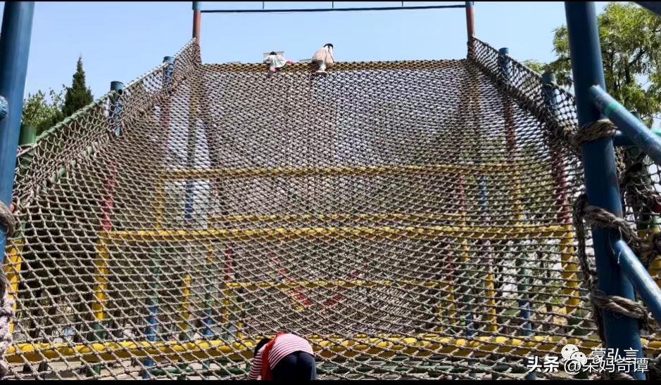 不要以爱的名义阻碍孩子成长,不要以爱的名义去阻碍孩子的成长