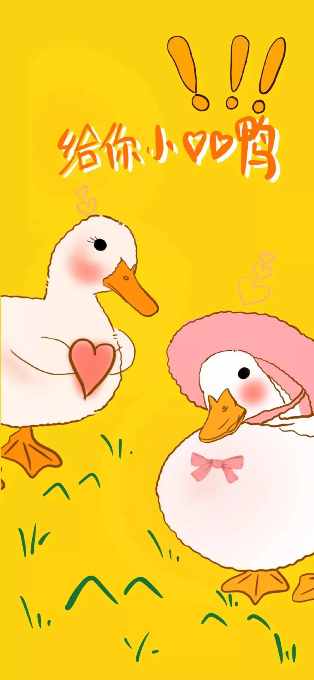 动漫情侣壁纸超清全面屏,可爱的情侣壁纸