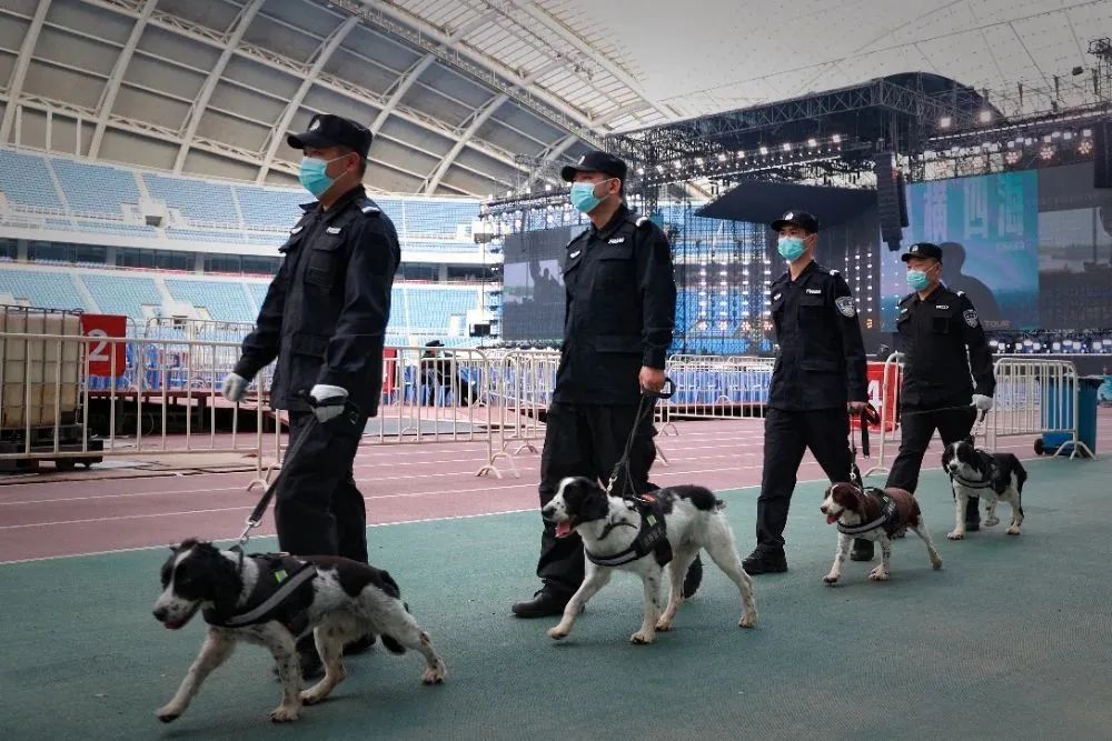 护航辽宁全面振兴,辽宁法院服务保障全面振兴新突破