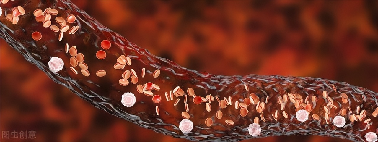 一文教会你看懂血检报告