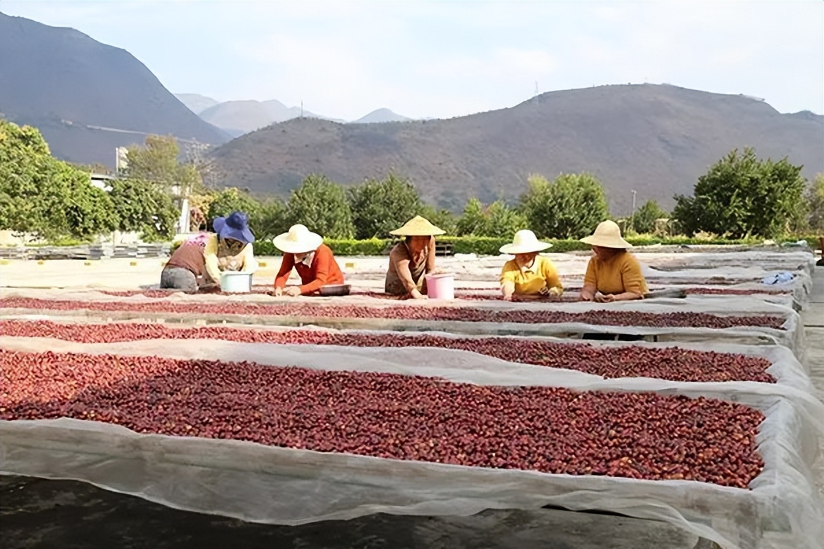 来美丽乡村休闲旅游！云南这3条夏季精品线路获全国推介
