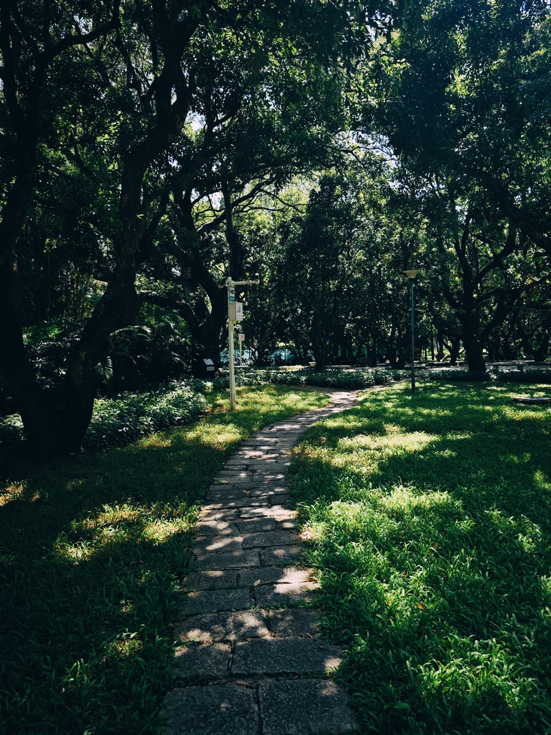 深圳市蛇口攻略,深圳海岛蛇口