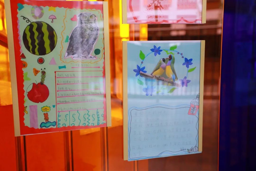 让美好继续让教育更好地发生丨西安高新区第十一小学办学成果展