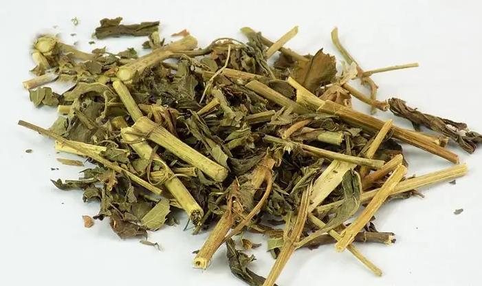 带你识别仙鹤草,带你识别茜草