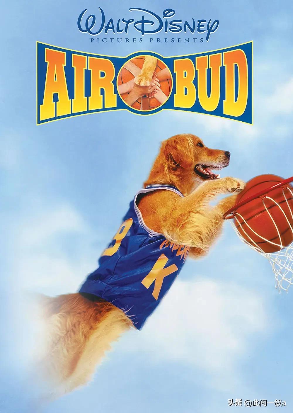 飞狗巴迪的知识,飞狗巴迪简介