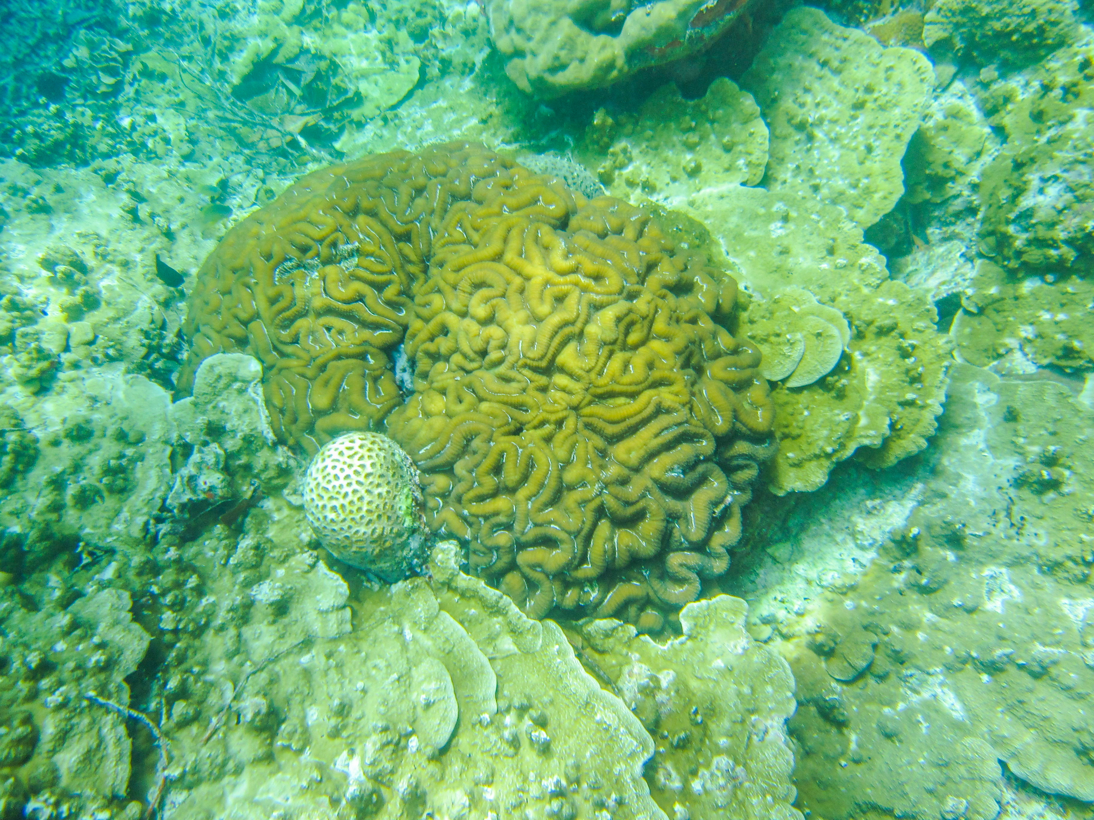 孤悬在太平洋上的岛国，帕劳，人生最值得一去的旅游目的地之一