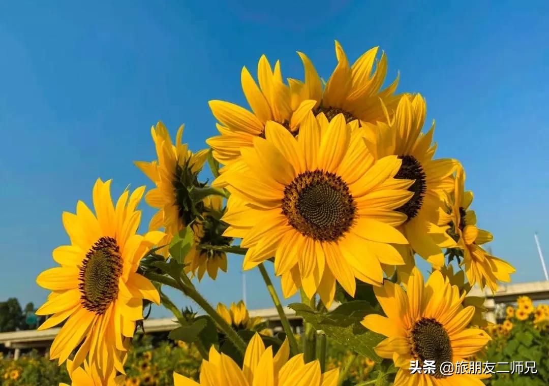 4天旅游广州周边景点攻略,人少景美的小众旅行地广东出发