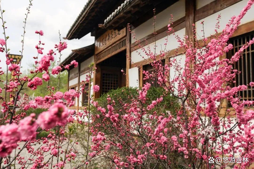 去白山玩的攻略,白山麻将二人玩法