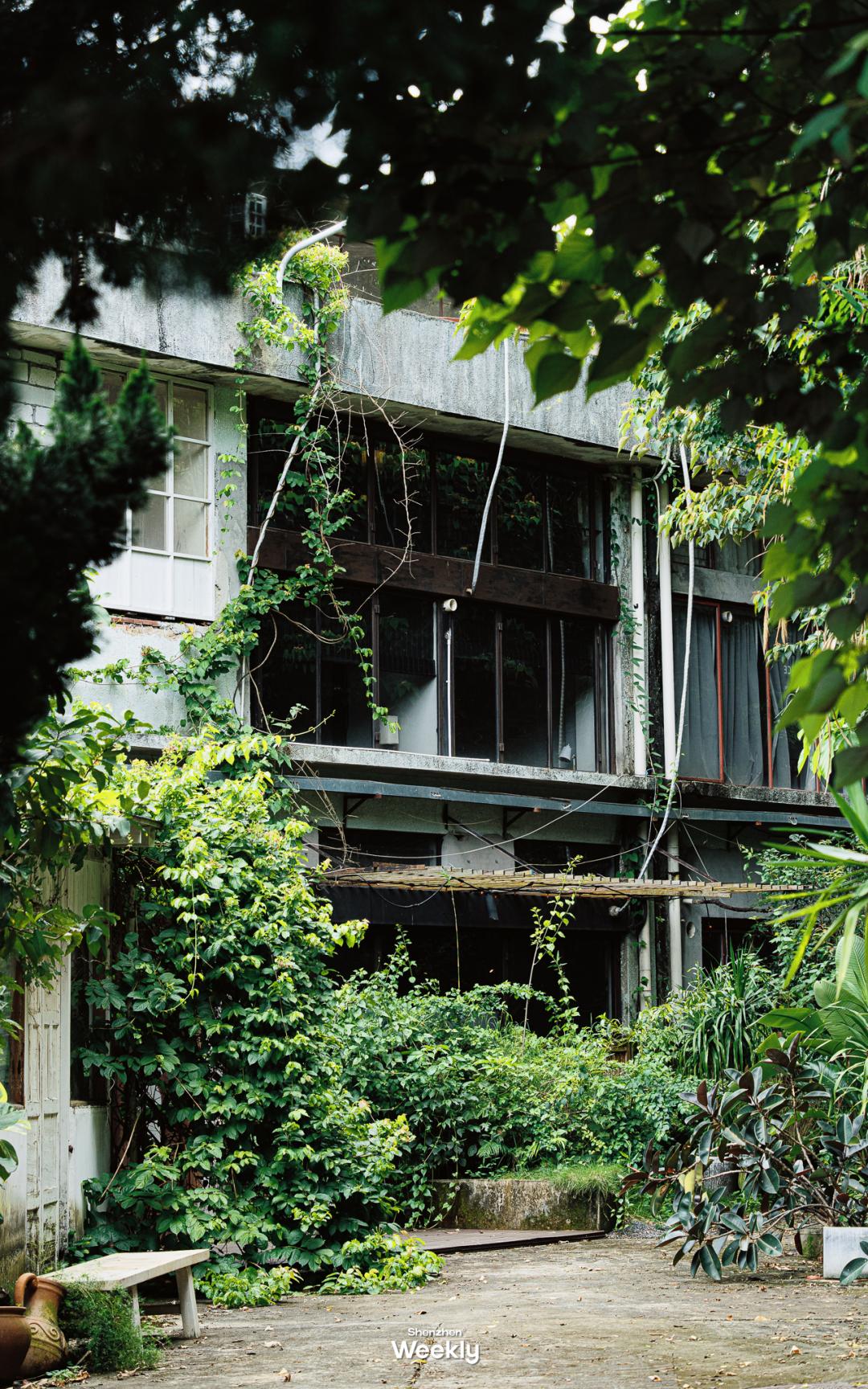 深圳玻璃海适合什么季节去,深圳适合藏玻璃海的地方