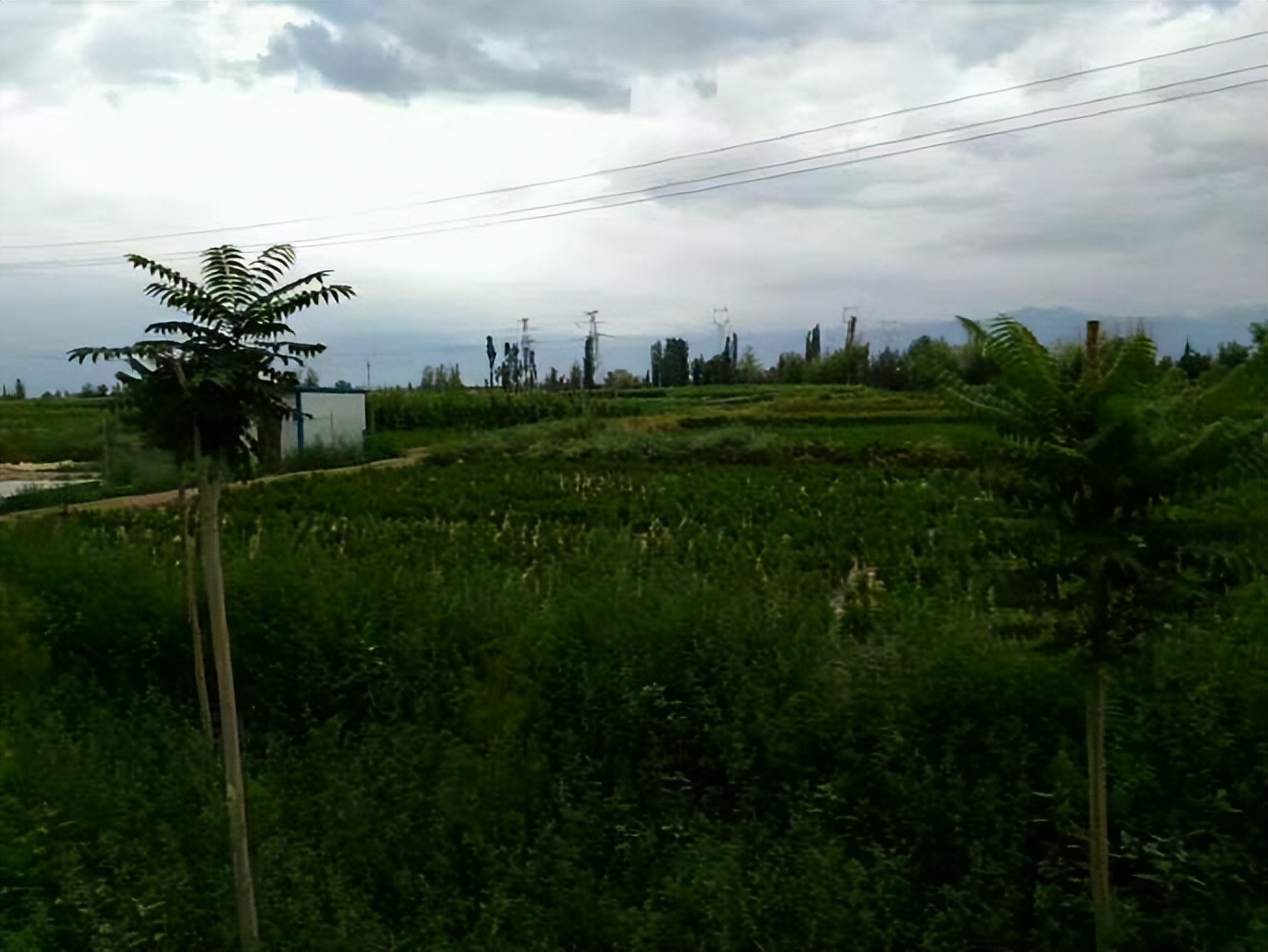 六千里路父与子，一路风尘一路歌---乌鲁木齐到成都骑行日记