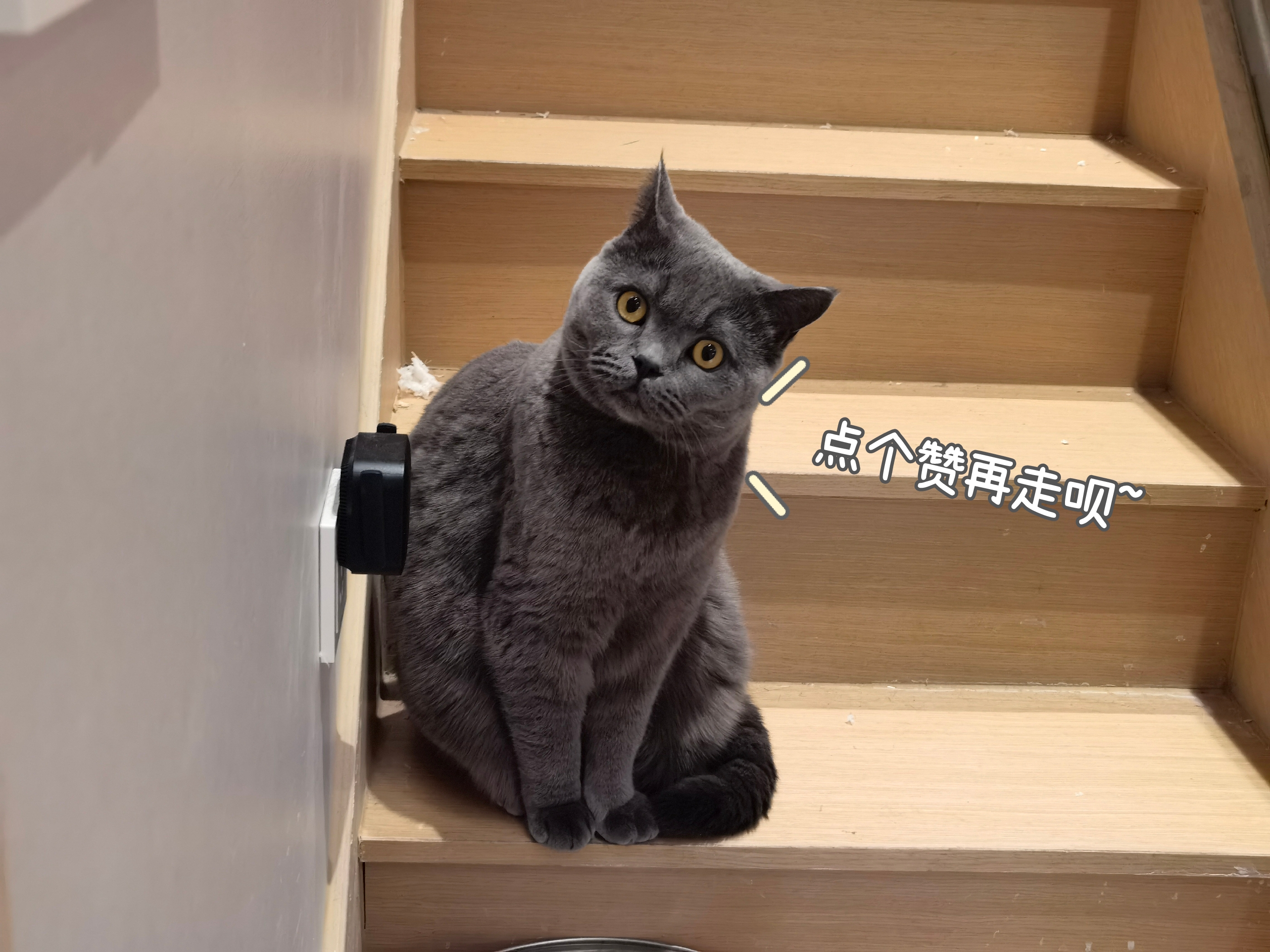 如何免费使用office办公软件,office办公软件操作的免费教程