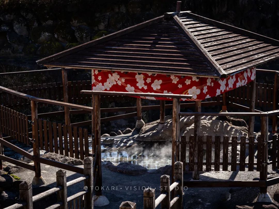 伊豆半岛两日游攻略,日本伊豆跟团旅游攻略