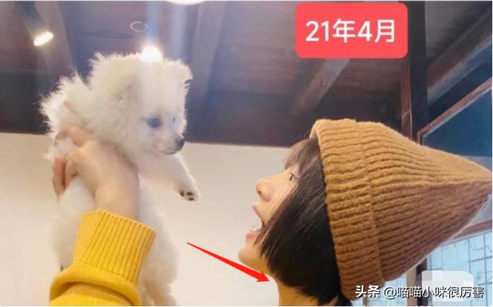 央媒评我的人间烟火后续,央媒评我的人间烟火