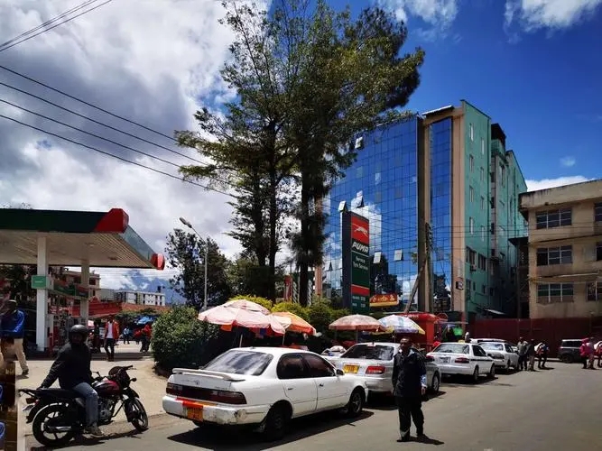 坦桑尼亚的国家英文名,坦桑尼亚是个什么样的国家