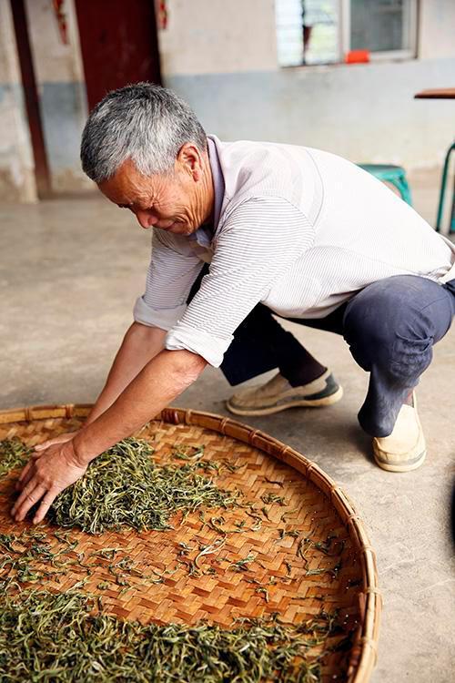 蜜桃乌龙茶用沸水泡吗,乌龙茶普洱茶红茶哪种茶好喝