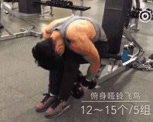 家庭健身房器械如何搭配,健身房器械使用教程女生