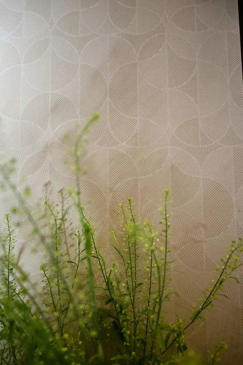 简舍产品研究院成立!5°微光2.0新品“亲生物设计”再次引领行业