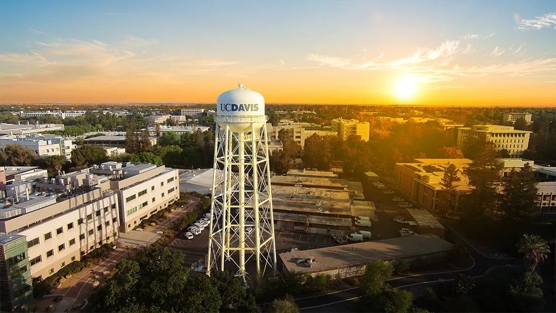 全美最好的专业排名,美国十大名校的专业