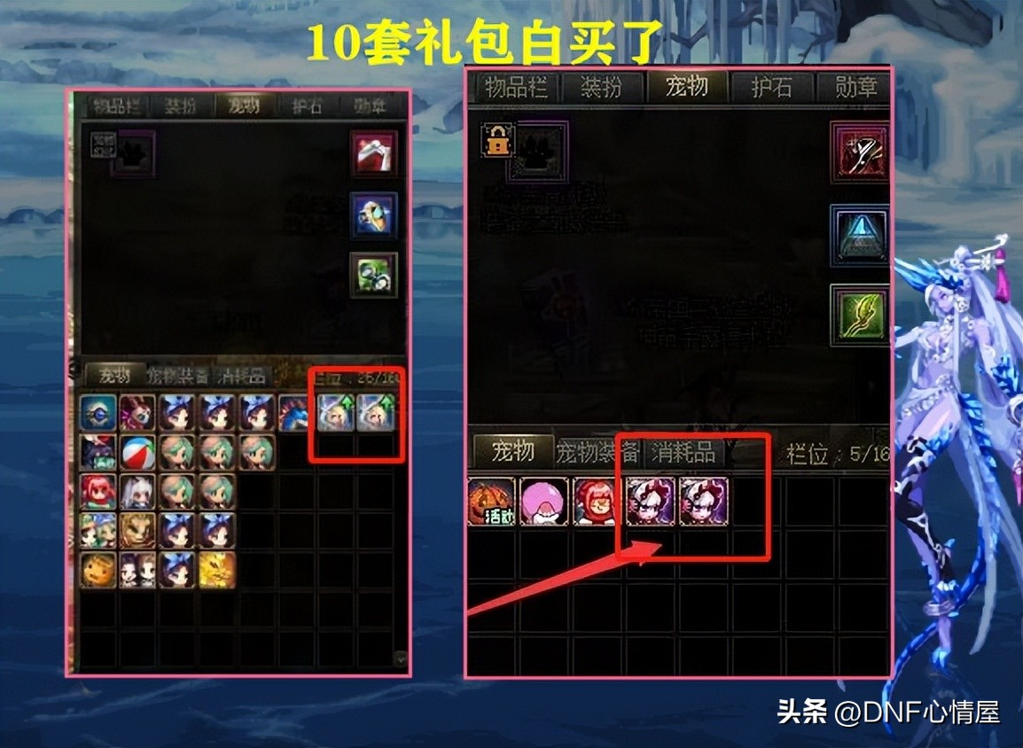 dnf10套春节礼包有什么惊喜,dnf10件春节套有宠物至尊宝珠吗