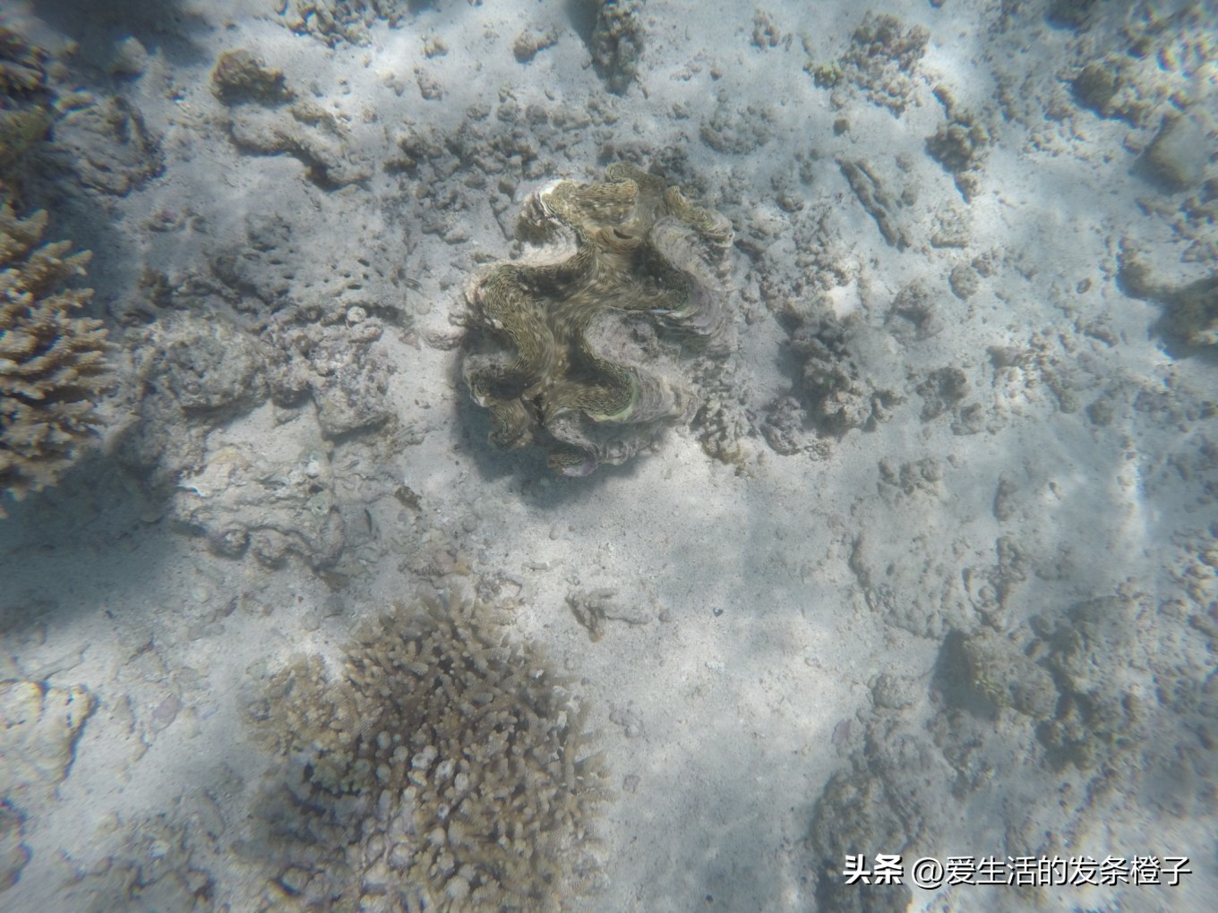 一路向北全程1980公里,西澳自驾游最佳路线图