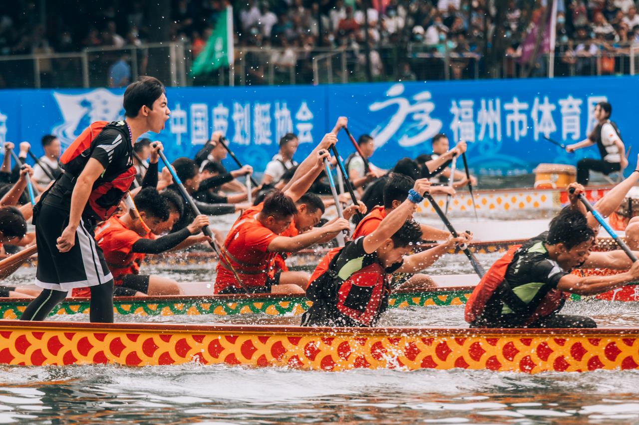 龙舟能盈利吗,龙舟发展情况