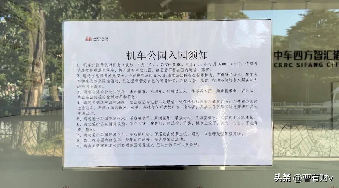 青岛中山公园网红打卡点,青岛亲子游攻略网红打卡地