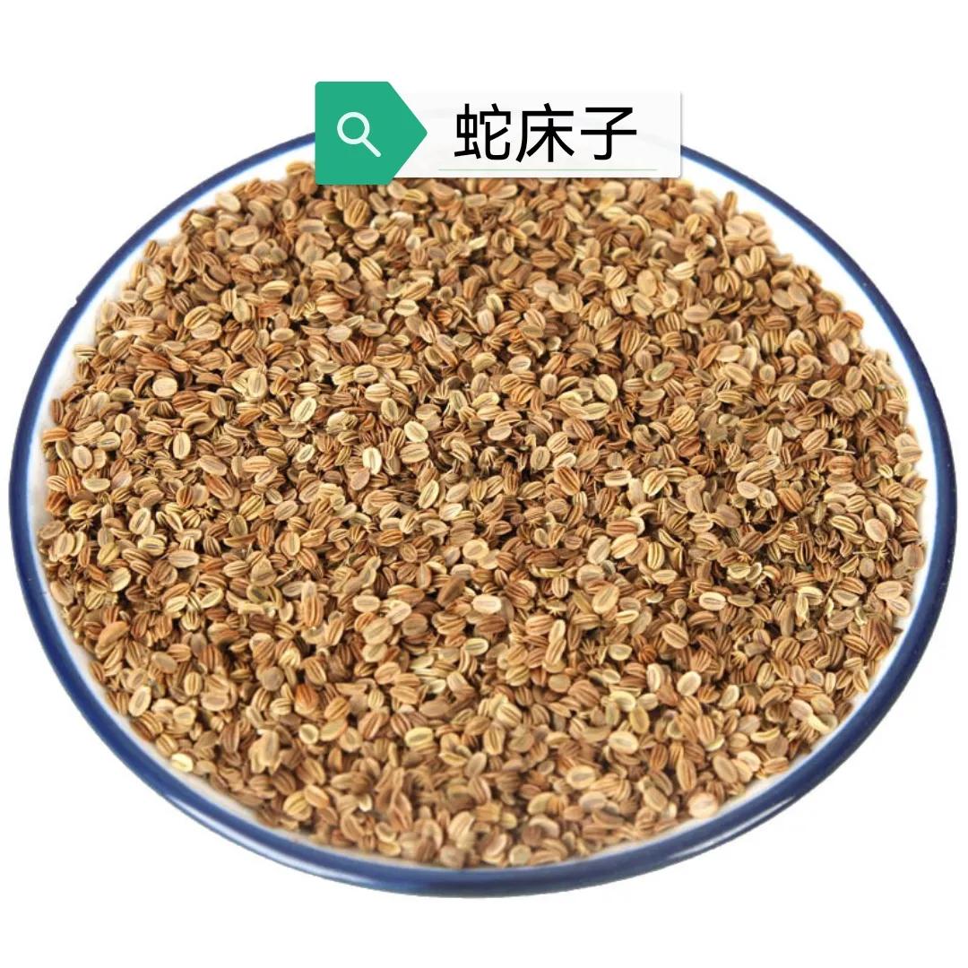 中药蛇床子的简介,中药蛇床子是治什么病的