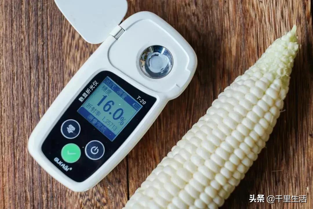 玉米界的“爱马仕”，一*爆口**浆，简直停不下来