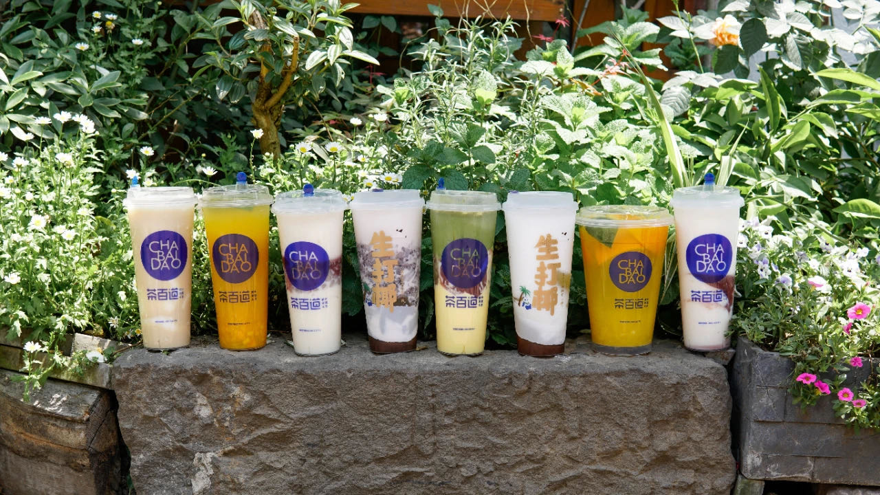 茶百道加盟要具备什么条件,茶百道加盟店加盟费多少钱