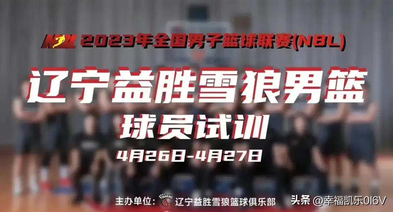 CBA速递!三外援加盟,强援助力,辽宁篮球蓄力,再冲冠!