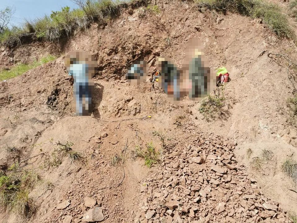 真实恐龙模拟器所有隐藏恐龙,恐龙真实模拟小游戏