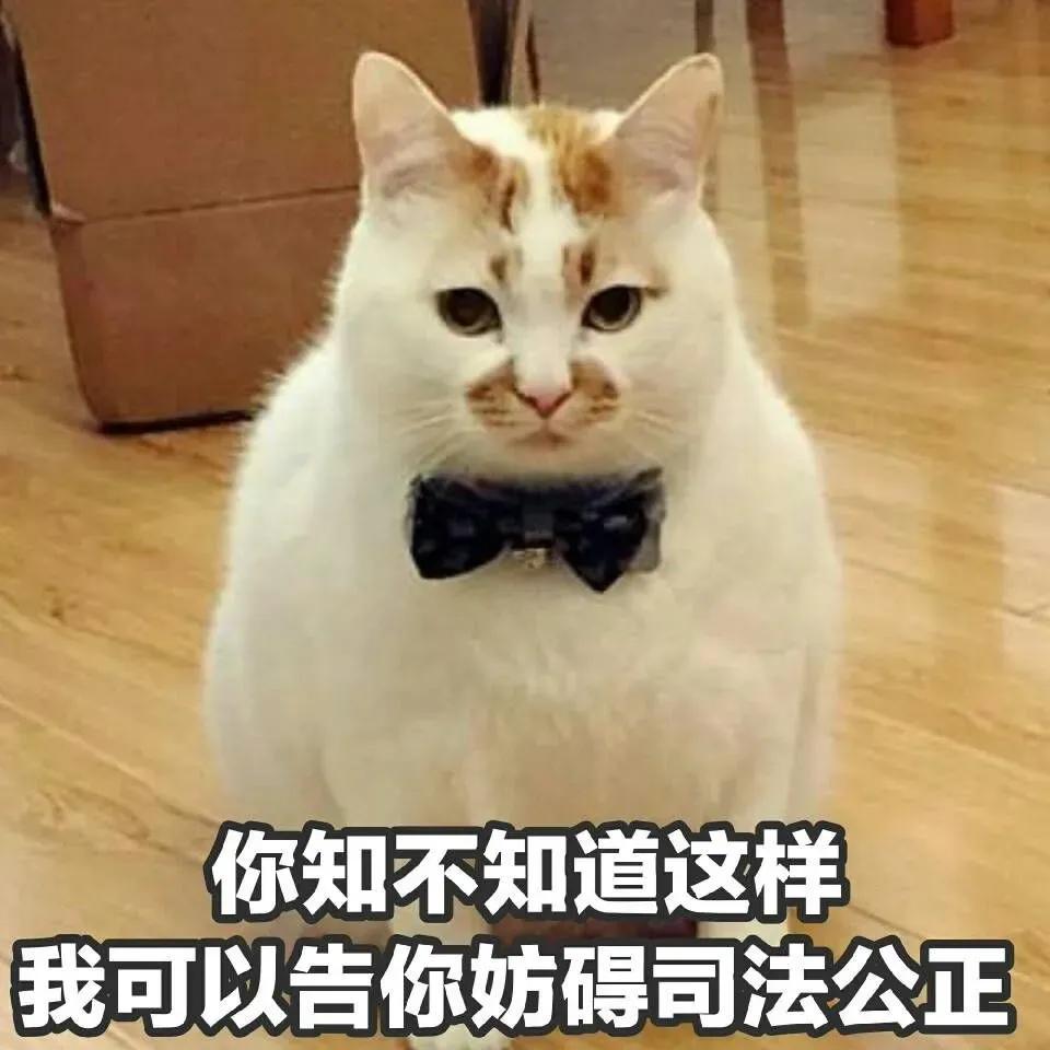 本来想炫耀结果却翻车,现实里那些装逼成功的时刻