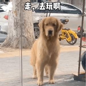 郑州周边网红打卡游玩攻略,适合孩子玩的郑州网红景点打卡地